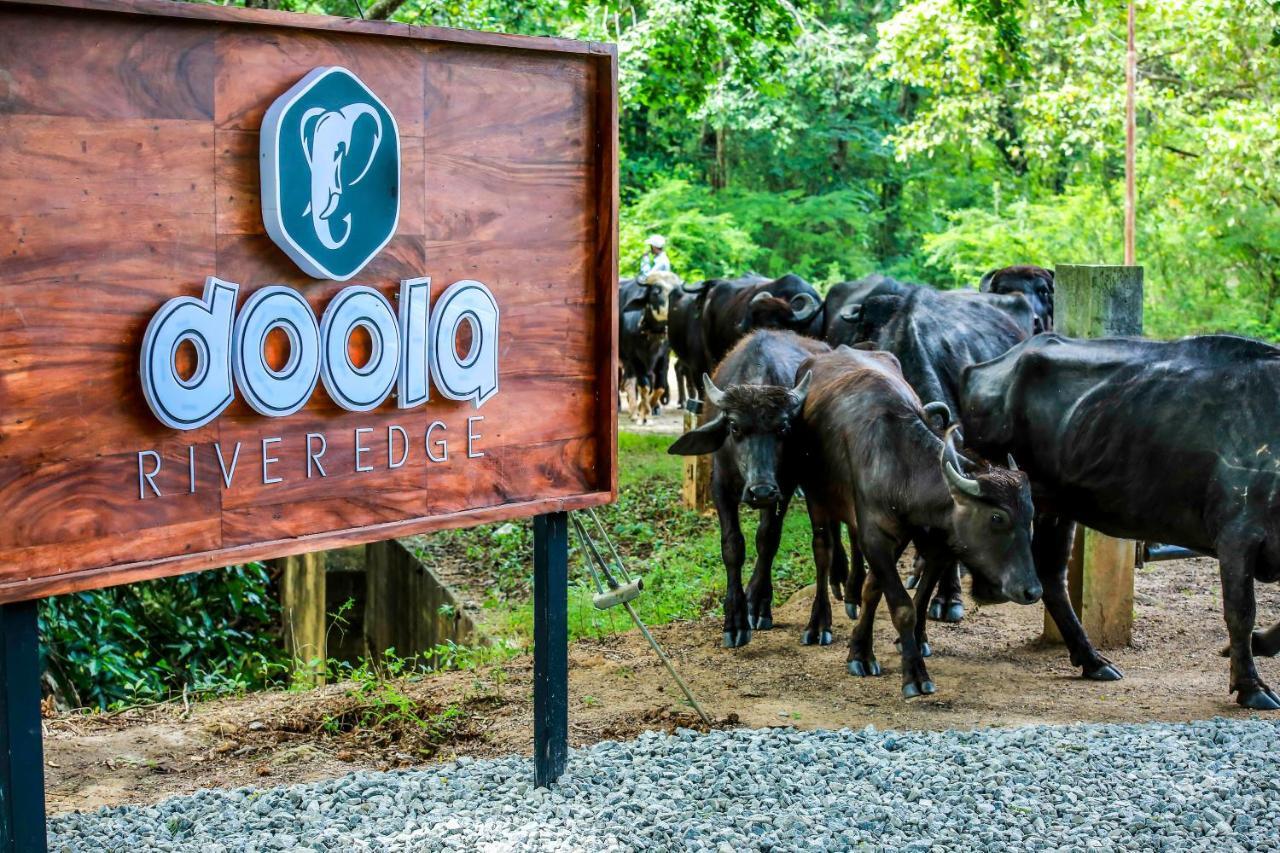 Doola River Edge Udawalawe Kültér fotó